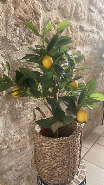 Le Grand Rouget Beaucaire (Gard) Exterior foto