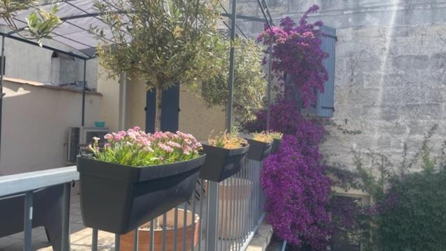 Le Grand Rouget Beaucaire (Gard) Exterior foto